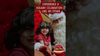 Christmas Animal Kingdom At Sydney Zoo