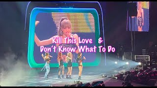 [FanCam] Blackpink World Tour 2019 | NJ | Kill This Love & Don’t Know What To Do