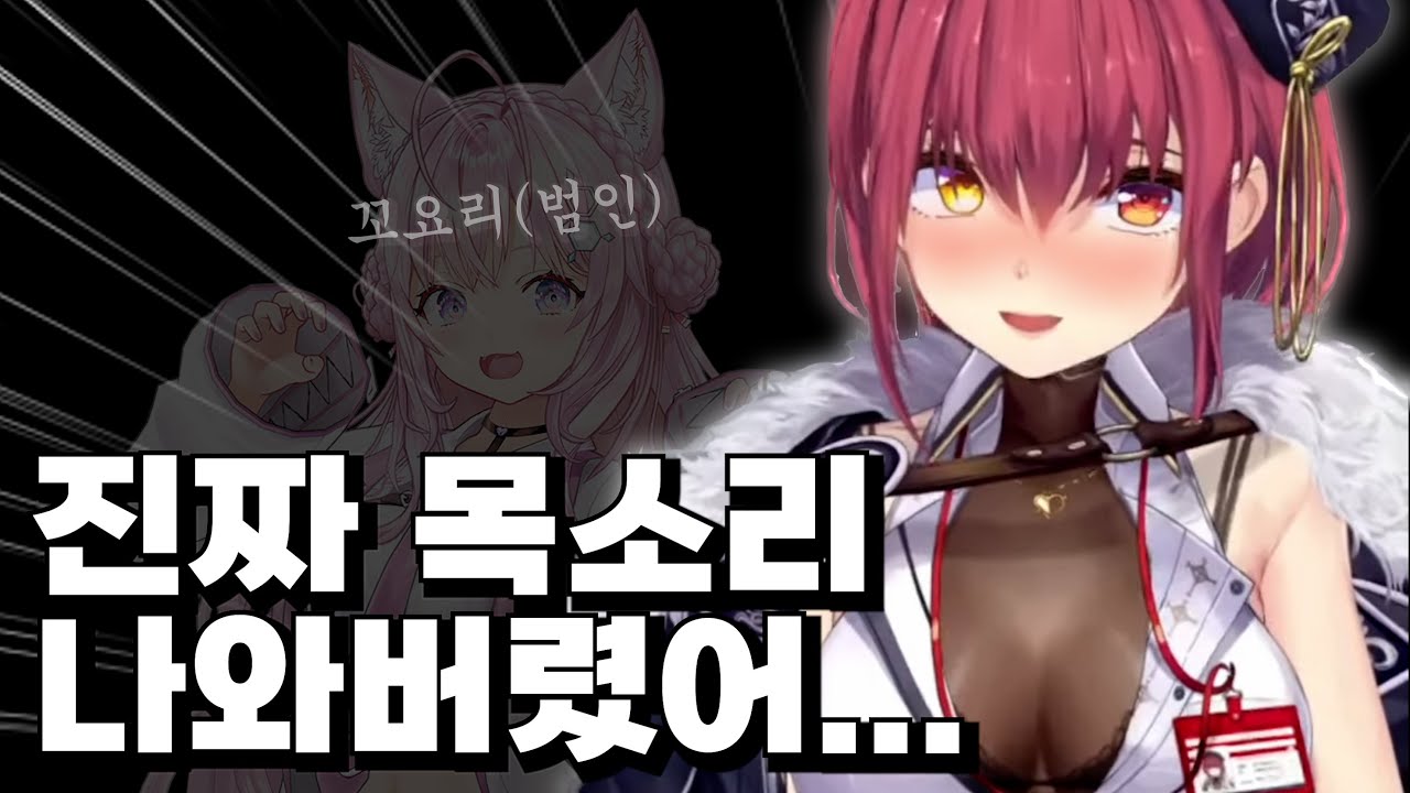 코요리랑 통화하다가 