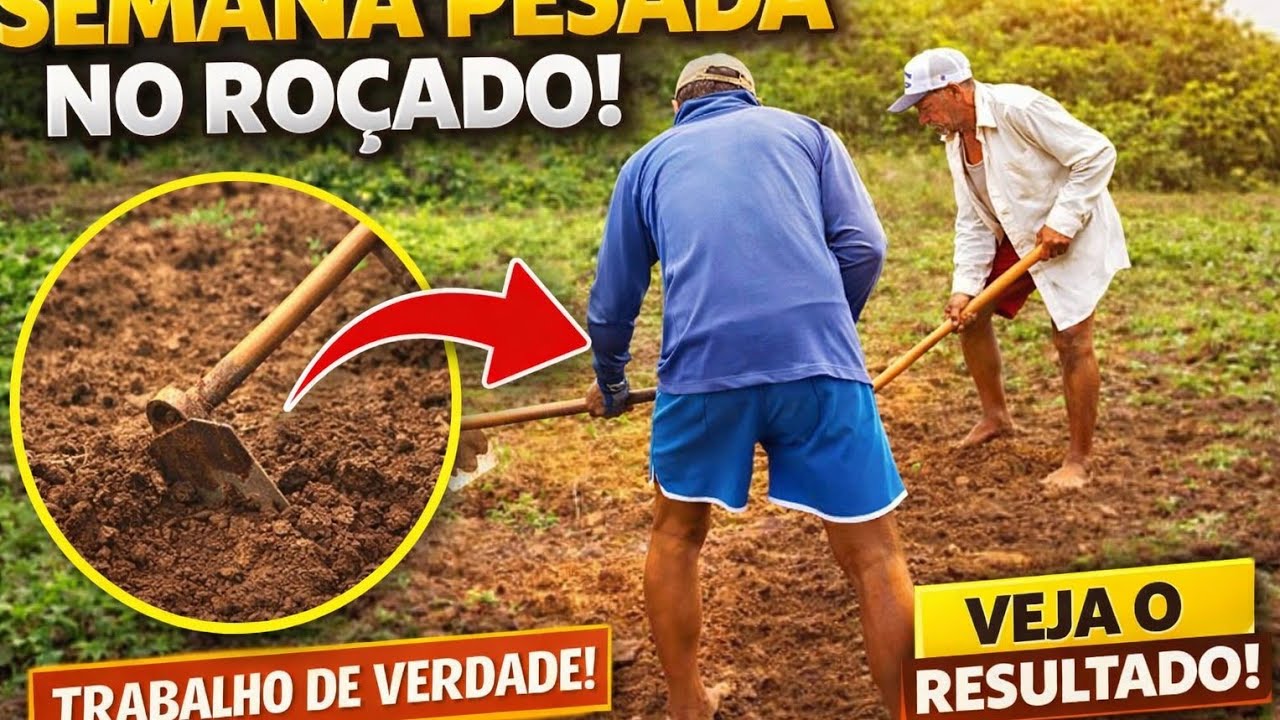 SEMANA PESADA NO ROÇADO! Veja o Resumo Completo do Trabalho no Sertão Paraibano 🌵💪