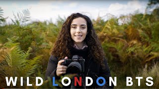 WILD LONDON Behind The Scenes: How to Film the Red Deer Rut