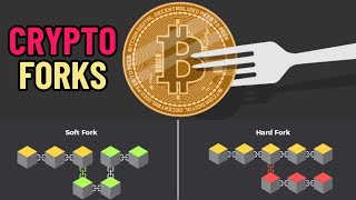 Understanding Cryptocurrency Forks - Exploring Crypto Forks