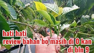 Review of the right coffee bean ingredients for the 2027 season so that there are no interruptions