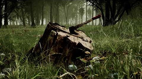 Unreal Engine 5 : Realistic Forest Scene : UE5