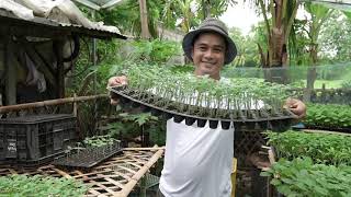 Agri E-Skul Episode 5.3 - Tumana Seedling Nursery And Ornamentals