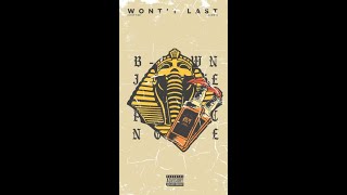 Juicy Bee - WON'T LAST ft. Blow G