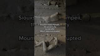 Famous The Queen of Goth Siouxsie Sioux Returns #SiouxsieandtheBanshee  #goth #storybehindthesong Wealth