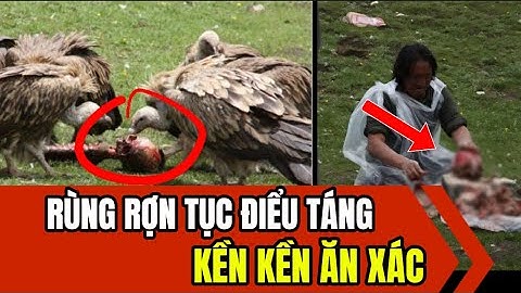 Cho Kền Kền Rỉa Xá.c - Hình Thức Mai Táng Rùng Rợn của người Tây Tạng