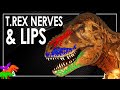 T. rex Nasal Nerves Are Really Funky Dino Sensors + New Lip Evidence? | Tyrant Files