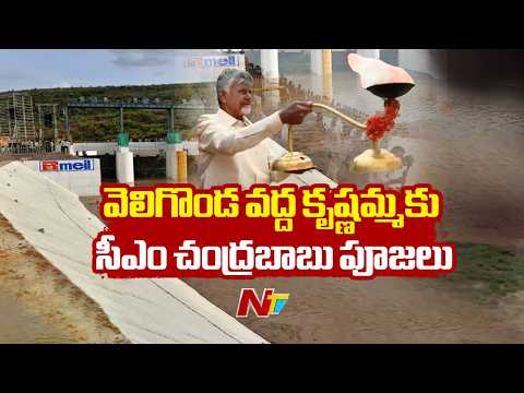 CM Chandrababu Performs Jala Harati at Veligonda Project | NTV Telugu - NTVTELUGU