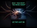 How Memory Works, यादें कैसे बनती है #youtubeshorts  #shorts  ​#memorytips  ​#BrainFacts ​#science