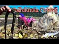 Fishing | Adhikhola | Nepal | तटबन्धका लागि डोजरले आँधिखोला सुकाउँदा यसरी मारियो माछा |