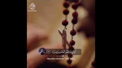 حالات واتساب القرآن الكريم بصوت القارئ أحمد الشافعي