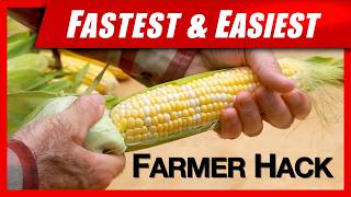 Corn Husk Farmer's Hack - Fastest Method to Shuck Corn