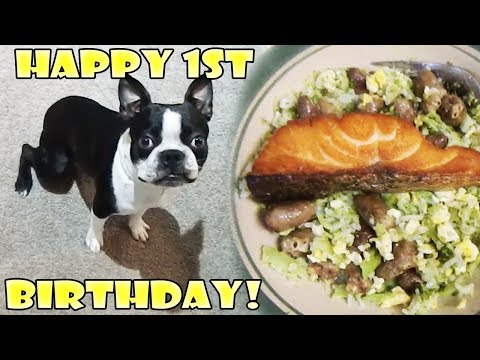 cooking-a-feast-for-my-little-guy's-first-birthday!-little-spartan-is-1-year-old-today!