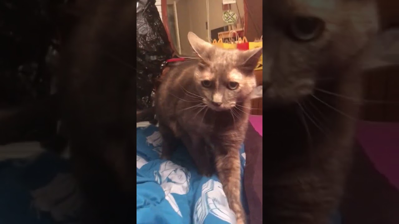 Knocked my phone out of my hand 