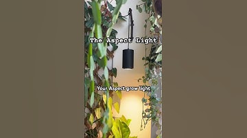 Your Aspect grow light might be too close—or too far—from your plants. Let’s fix that! 🪴✨ #plants