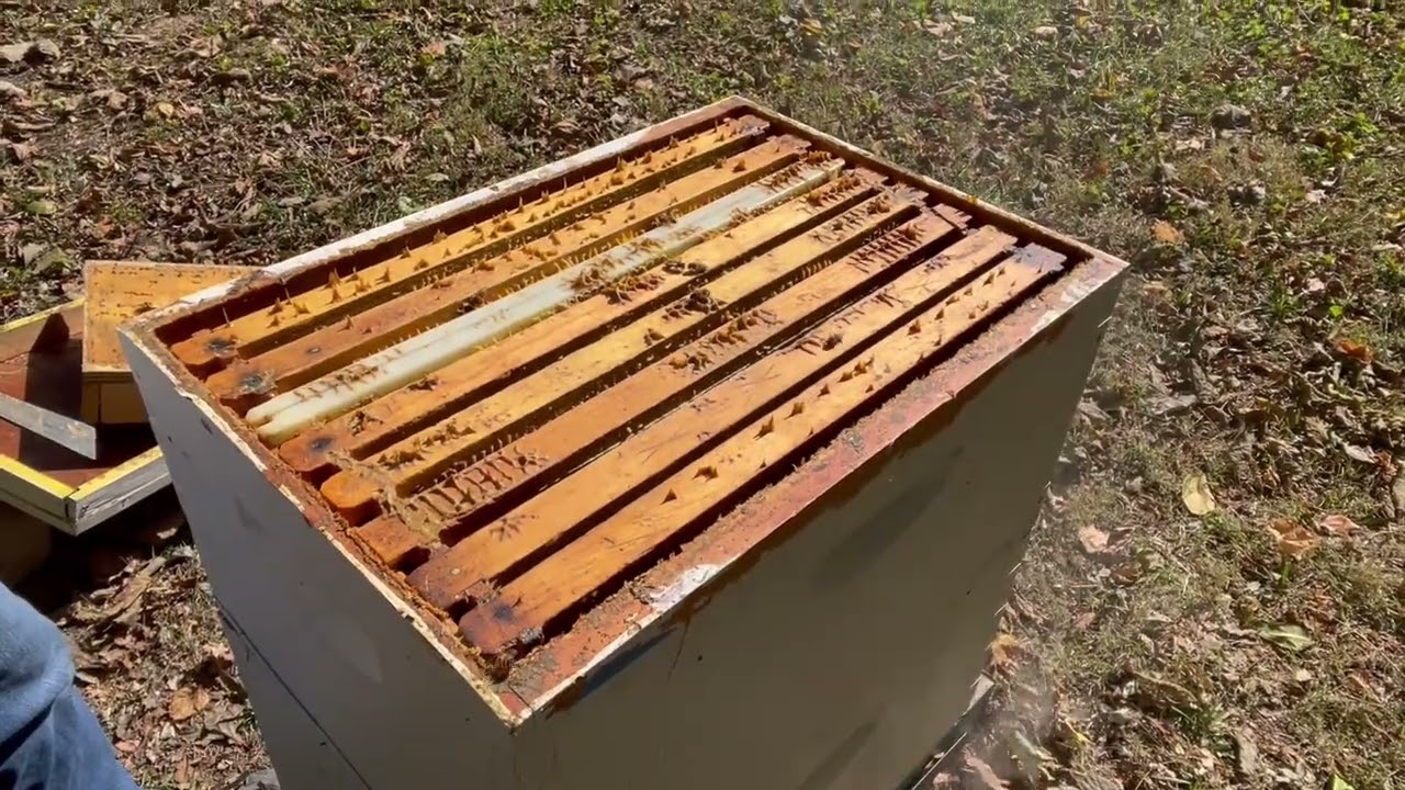 Brad Phelps Episode 53 taking off the liquid feed