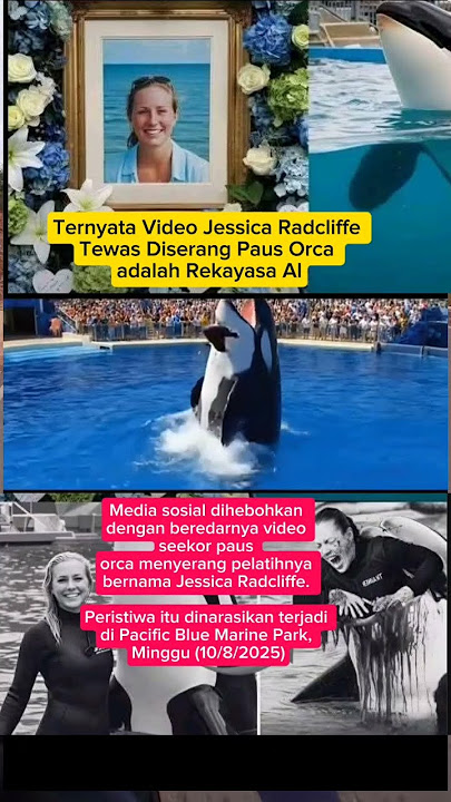 Ternyata Video Jessica Radcliffe Tewas Diserang Paus Orca Rekayasa AI#trending #viral #video #shorts