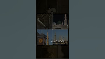 ان الله وملائكته يصلون على النبي الشيخ خالد الجليل #سورة_الاحزاب #المصحف
