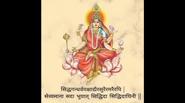 Jai Siddhidhatri Mata!🙏🏻 #garba #navratri #shorts #siddhidatri #day9