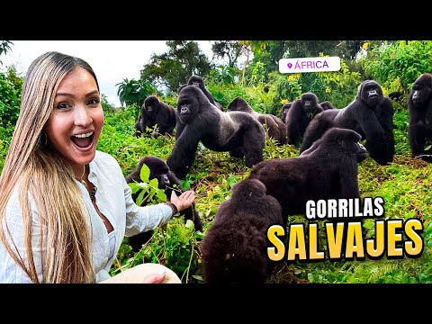 Encuentro con GORILAS SALVAJES en Uganda - Vlog