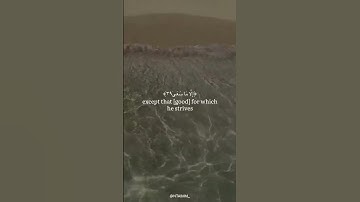 سورة النجم ، ناصر القطامي