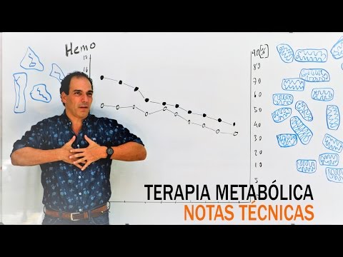 Vídeo: Apuntar A La Hipoxia En El Tumor: Una Nueva Estrategia Terapéutica Prometedora