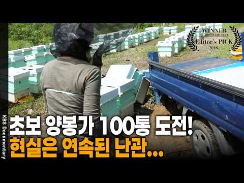 "5년 시한부 판정 극복" 벌들과 함께 <strong>전국을</strong> 달리는 44년 양봉 인생 | KBS 다큐 공감 20180609 방송