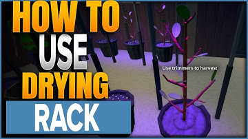 How To Use Drying Racks In Schedule 1