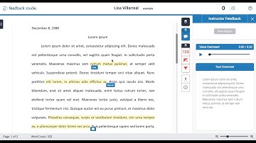 Viewing Feedback in TurnItIn | SFSU