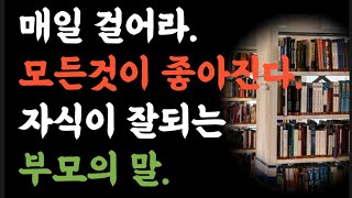 매일걸어라 모든것이 좋아진다|반드시 자식이 잘되는 부모의 말|옛성인들의 지혜|두편두번반복 |빛나는 지혜