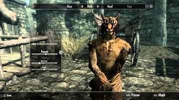 The Elder Scrolls V: Skyrim- Heavily Modded Playthrough! Part 1 (Intro)