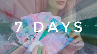 Next 7 Days with your person / What's their next move? PICK A CARD Tarot (timeless)