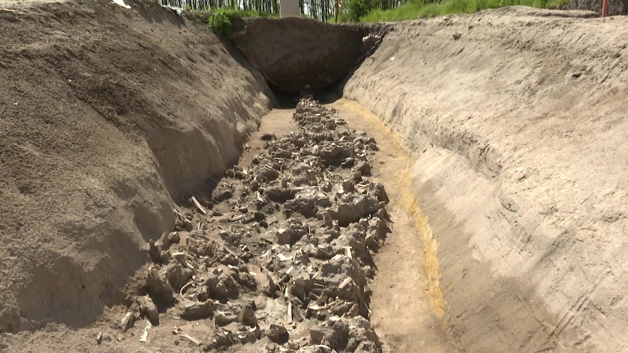 Korszakalkotó felfedezést tettek a kecskeméti régészek a bugaci gyermekmészárlásról