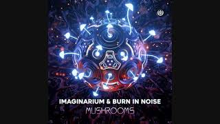 Imaginarium &amp; Burn In Noise - Mushrooms