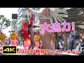 近いからこその大迫力！【2022シズオカサンバカーニバル】【4K】【sambacarnival】