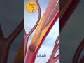 طريقة فتح الأوعية الدموية طريقة فتح الأوعية الدموية