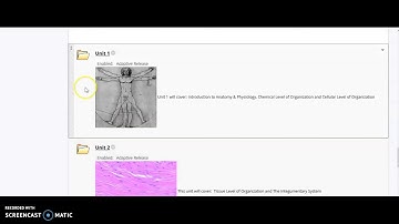 How To Access Mastering A&P