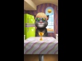 [My Talking Tom] LOL!!!