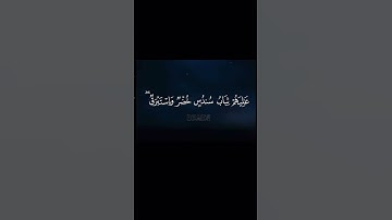 الشيخ محمد اللحيدان سورة الإنسان 17-22❤️
