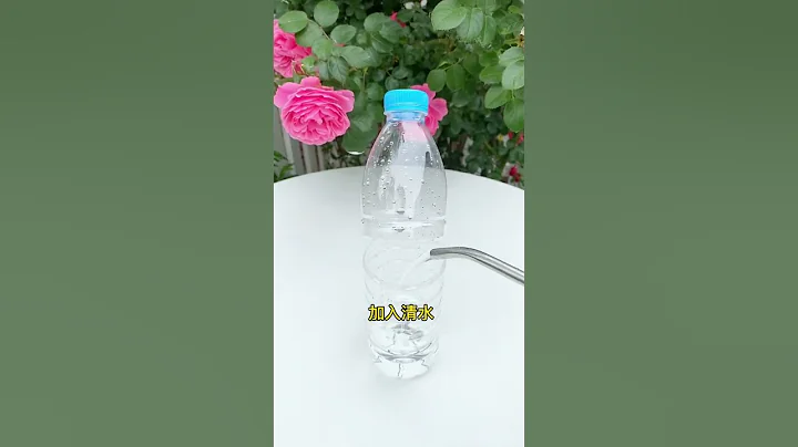 扦插神器 - 天天要闻