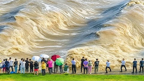 One in a Billion Moments in Nature Caught on Camera | Part 12