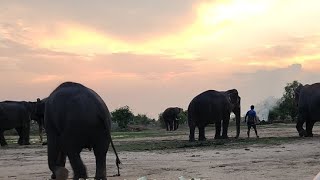 พังบุญเพิ่ม กำลังถ่ายทอดสด! ร่วมสร้างสมทบทุนดอนปู่ตา บ้านท่าลาด