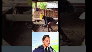 TRY TO LAUGH CHALLENGE DAY 40 #funny #laugh #comedy #viralvideo #memes #ytshorts #funnyreactions