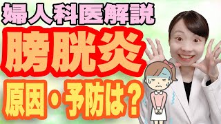 【医師解説】女性に多い 膀胱炎って何？ 原因は? 繰り返す人の特徴＿どうやって予防したら【頻尿:痛み】