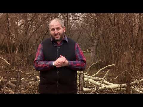 ეთნოფორი • etnopori (ანონსი / რიგით 204-ე) 05.03.2020 წ.