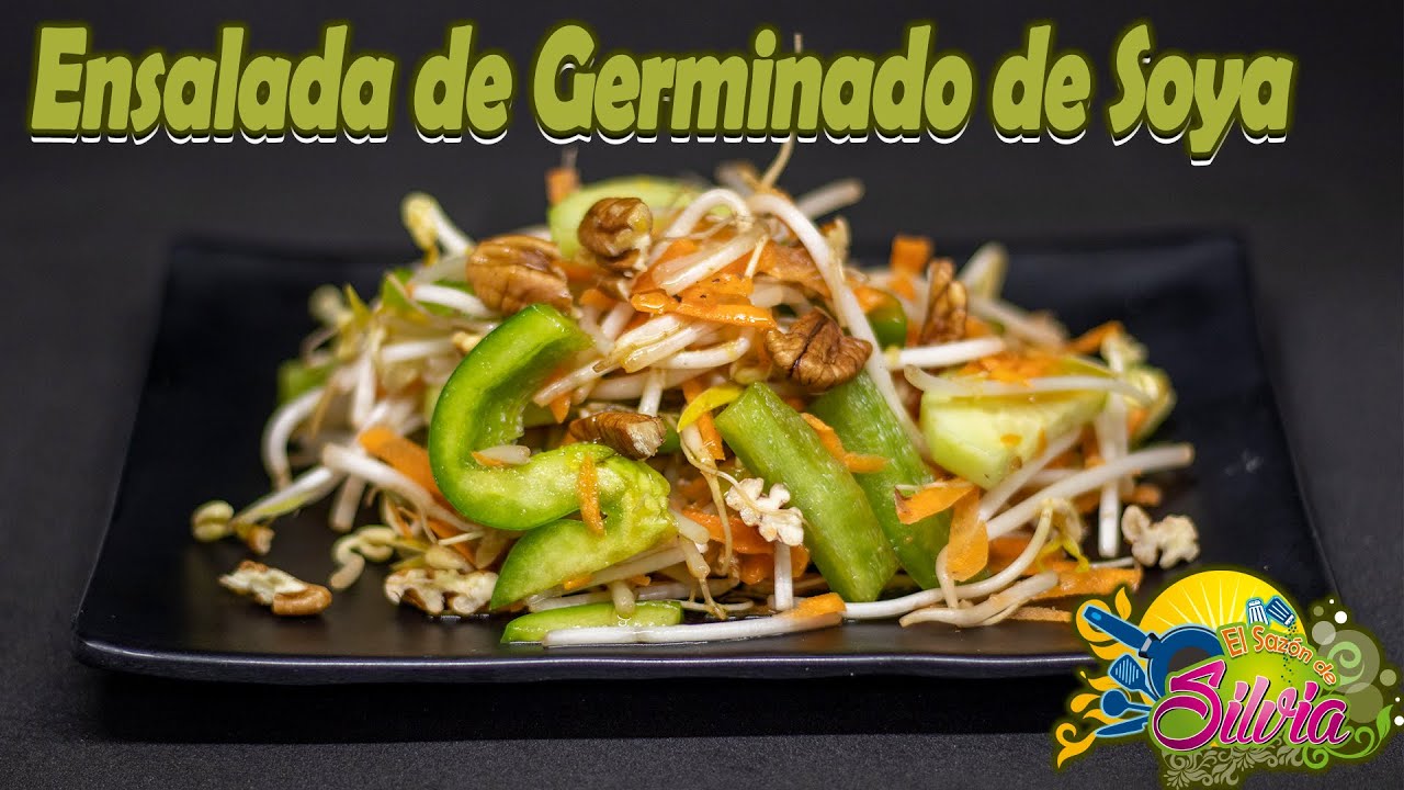 Ensalada de Germinado de Soya - ElSazóndeSilvia
