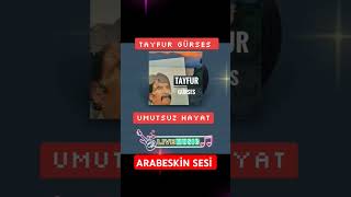Tayfur Gürses - Umutsuz Hayat - 2024
