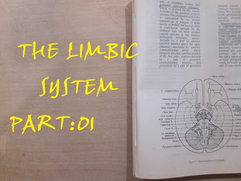 Master Limbic system | part:1| Amygdaloid complex| Neuroanatomy tutorials for medicos| DOCTORS TO BE